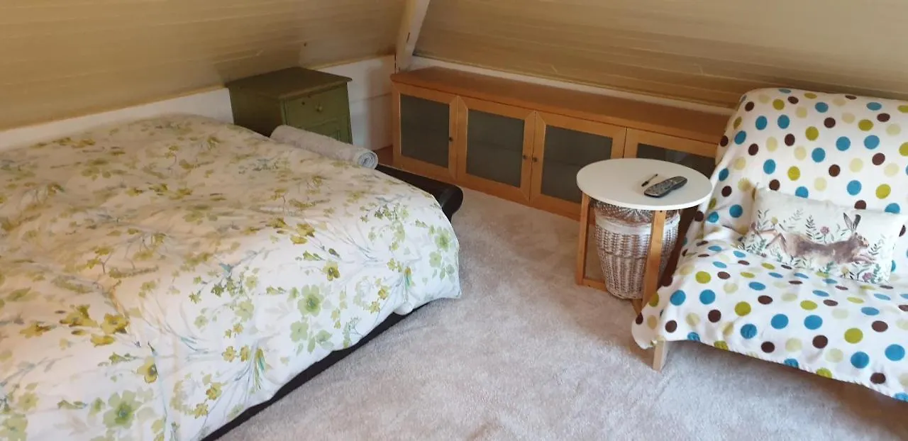 Le Studio Attic , Fridge Tv Microwave, Chester Alloggio in famiglia